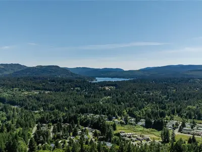 View 42