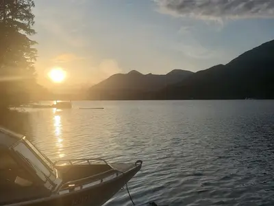 View 40