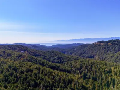 View 42