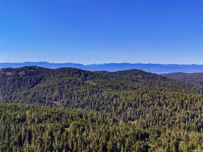 View 43