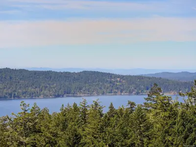 View 34