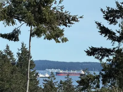 View 82