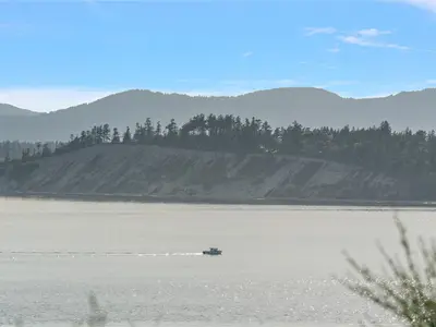 View 12