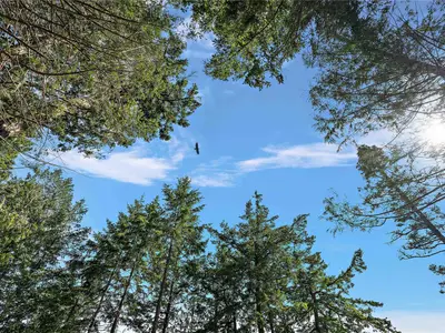 View 14