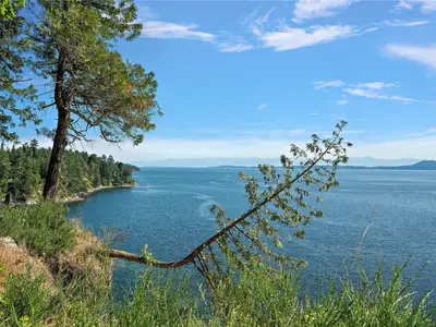 View 54