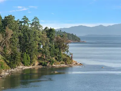 View 19