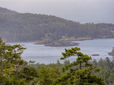 View 40