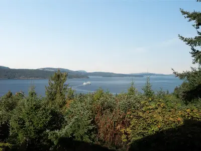 View 6