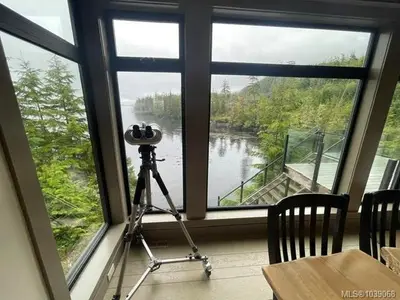 View 11