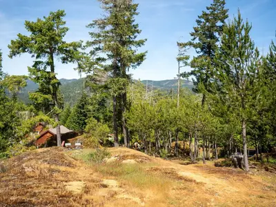 View 47