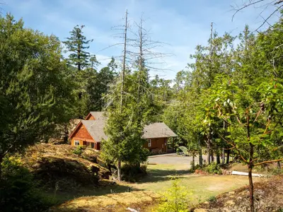 View 37