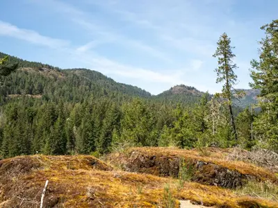 View 48