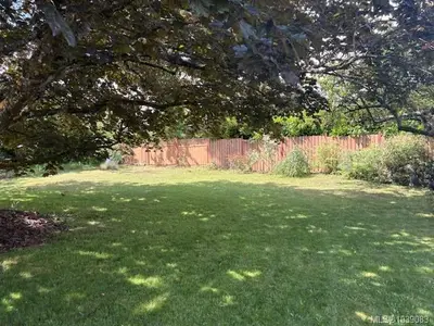 View 4