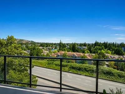 View 19