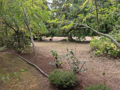 View 27