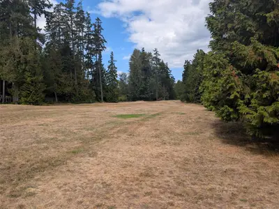 View 32