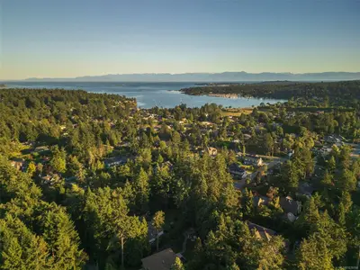 View 50