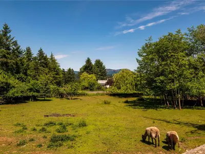 View 33