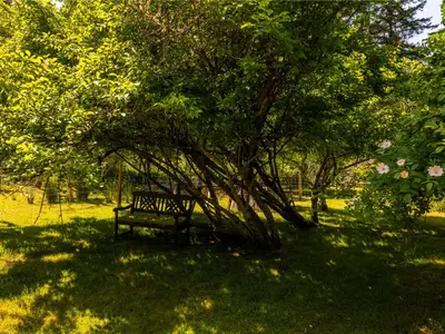 View 35