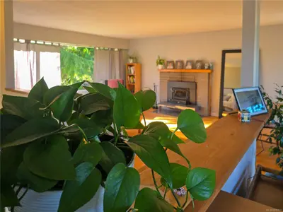 View 29