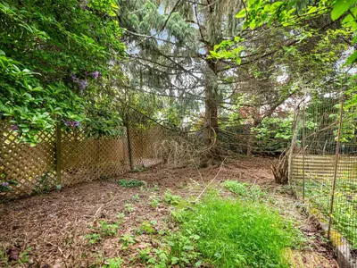View 15