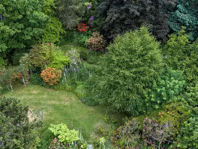 View 8