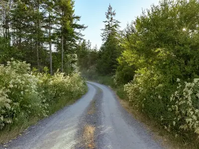 View 67