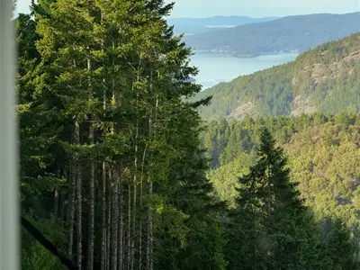 View 31