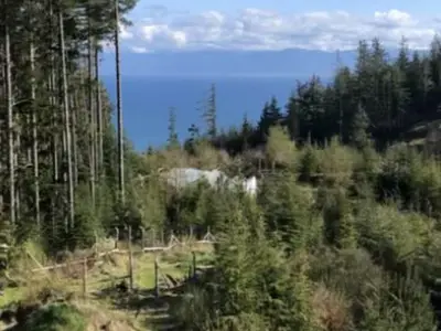 View 6