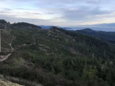 View 3