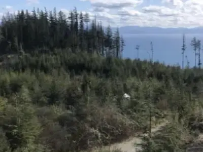 View 8