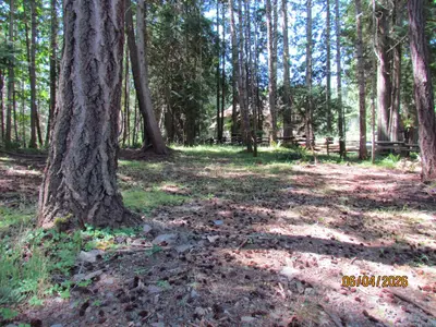 View 1