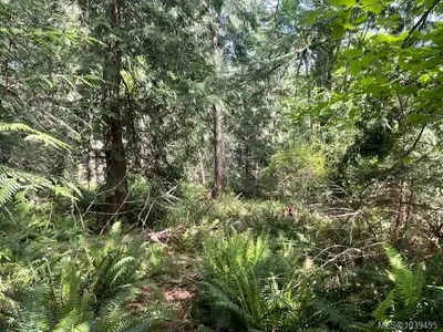 View 7