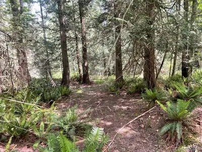 View 5