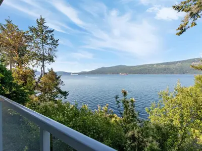 View 40