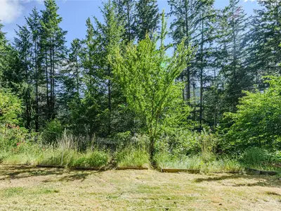 View 33