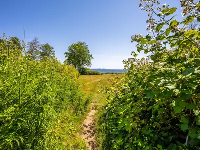 View 22