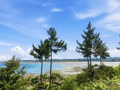 View 35