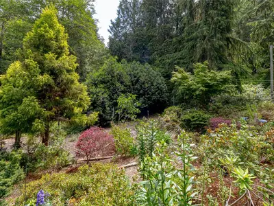View 40