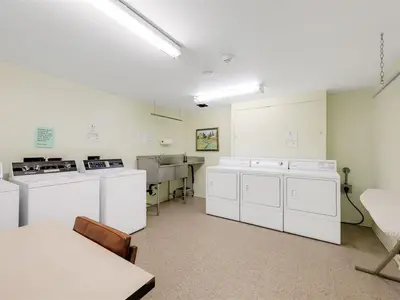 View 31