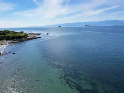 View 39