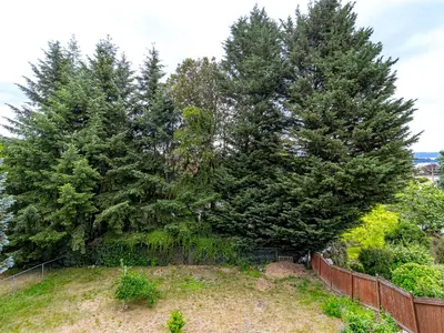 View 28