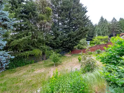 View 35