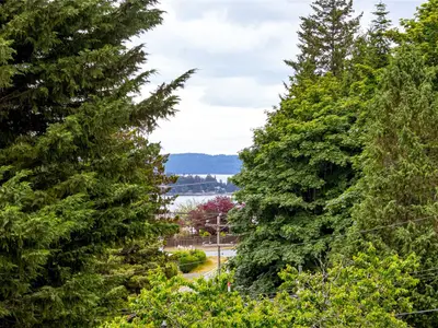 View 29