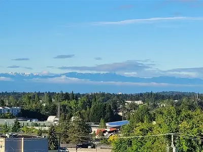 View 1