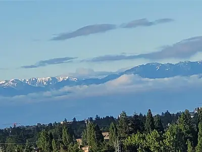 View 50