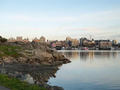 View 32