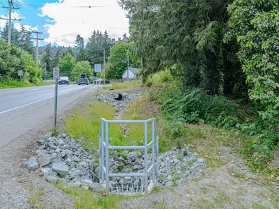 View 15