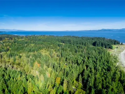 View 52