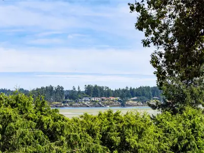 View 17